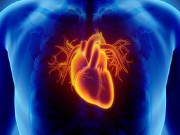photo of 3D illustration of Heart