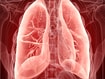 photo of illustration of the lungs