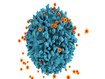 photo of HIV viruses, illustration 
