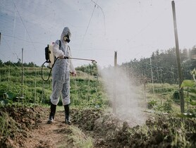 photo of farmer spraying crops