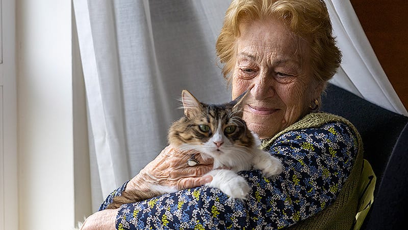 Can Pet Ownership Ward Off Cognitive Decline? - Vimarsana News