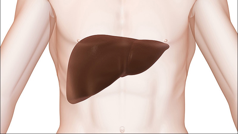 Liver Stiffness, Fibrosis Tied to T2DM in MASLD