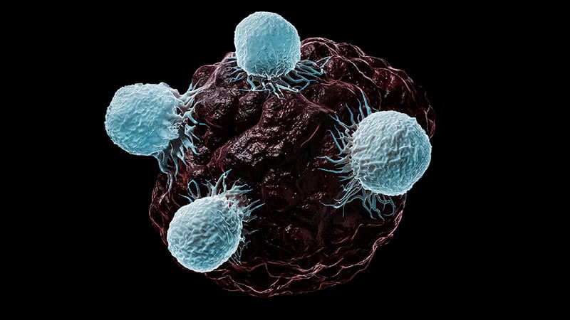 CAR T Cell: Do Benefits Still Outweigh Risks? - Vimarsana News