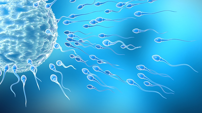 GLP-1s’ Subsequent Goal: Male Infertility?