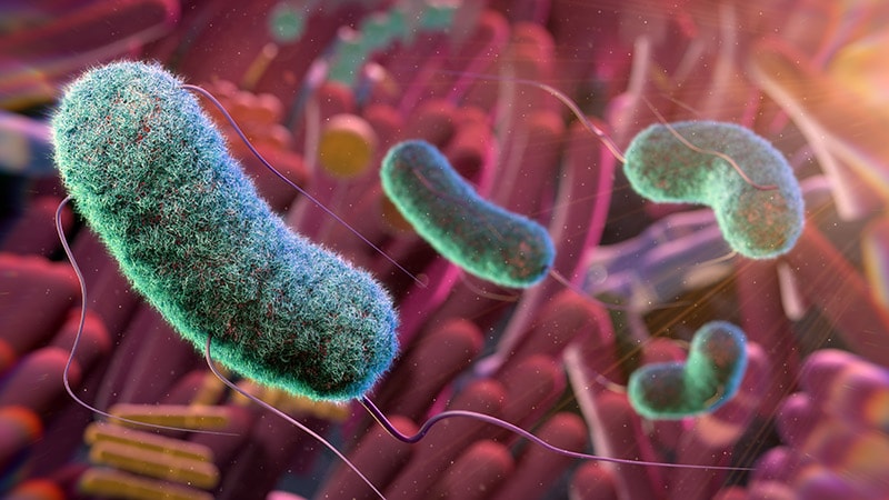 How Should Doctors Handle the Microbiome Craze?