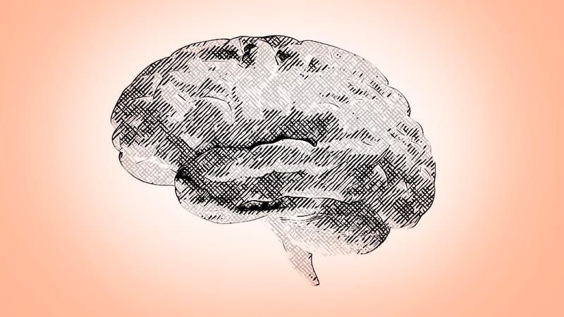 Human Brains Getting Bigger: Good News for Dementia Risk? - Vimarsana News