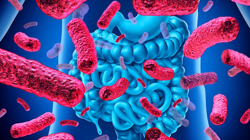 La modification du microbiote intestinal peut améliorer l’efficacité du DMARD dans la PR