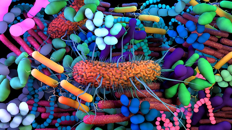 The Long, Controversial Search for a 'Cancer Microbiome'