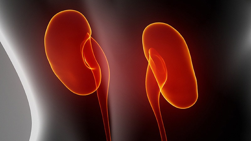 Another Reason to Control Lp(a): To Protect the Kidneys Too