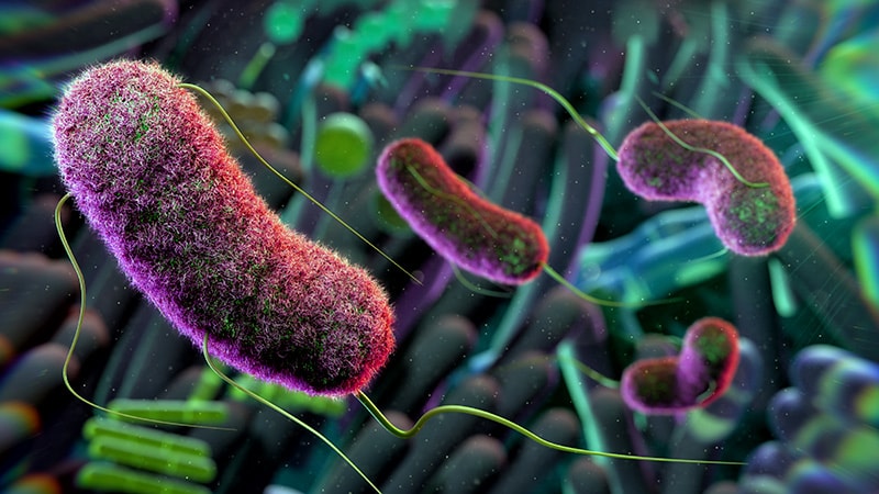 Intestinal Flora Could Affect Decision-Making