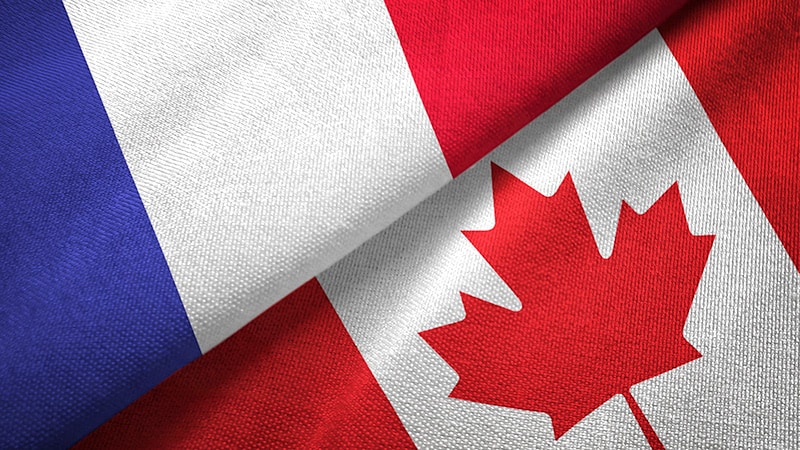 Read more about the article How can Canadian doctors best care for French-speaking patients?
