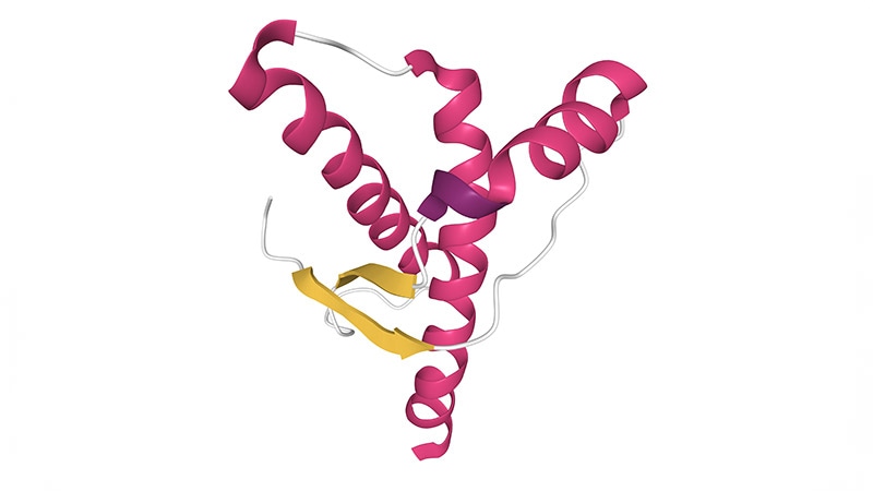 Information on Protein Misfolding Might Enhance Most cancers Therapy