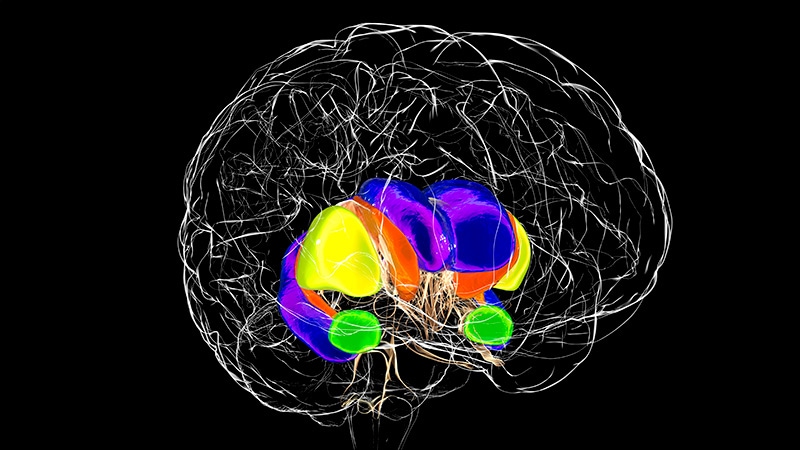 Q&A: Advances in Huntington Disease