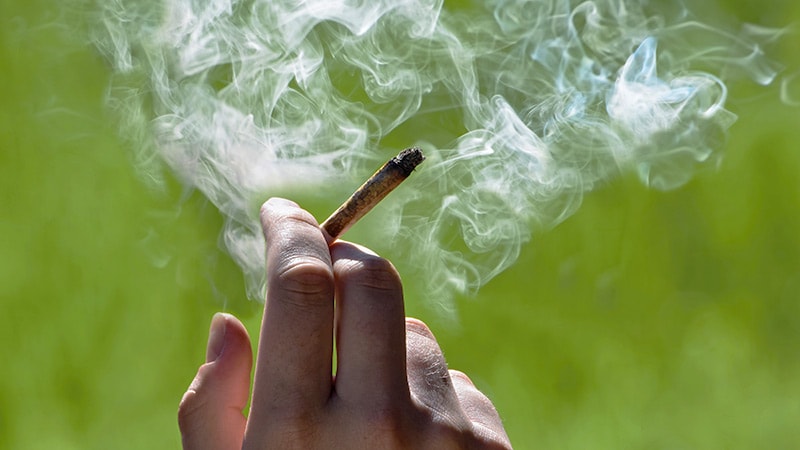 Does Marijuana Harm Your Lungs? The Unclear Truth