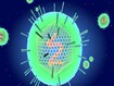photo of Epstein Barr virus