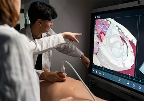 photo of Student uses high fidelity ultrasound simulator on a manikin in the Anatomy 