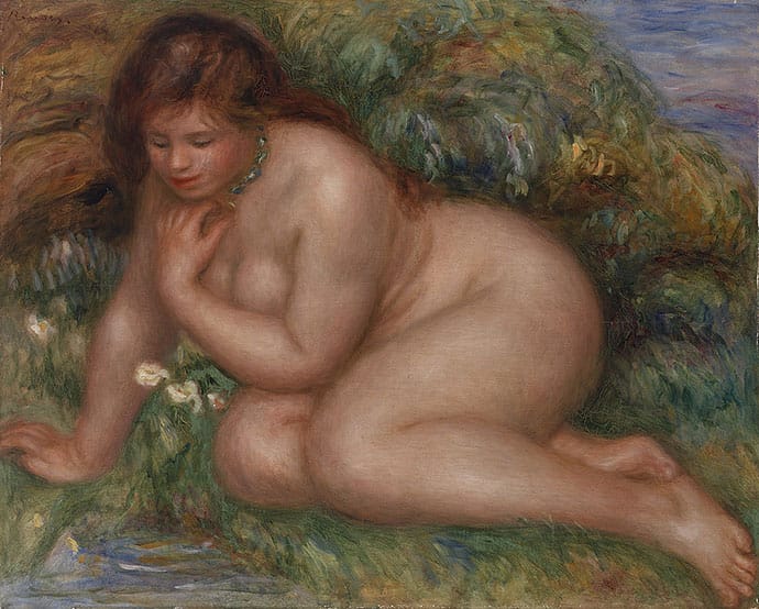 photo of a renoir