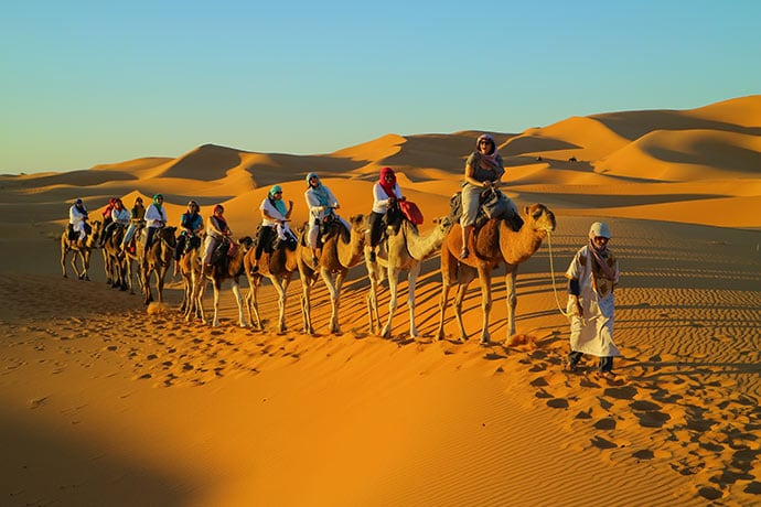 photo of Stacey Funt