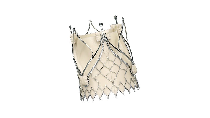 So Far, TAVI Device for Aortic Regurgitation Is Effective