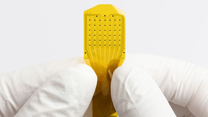 photo of a microelectrode