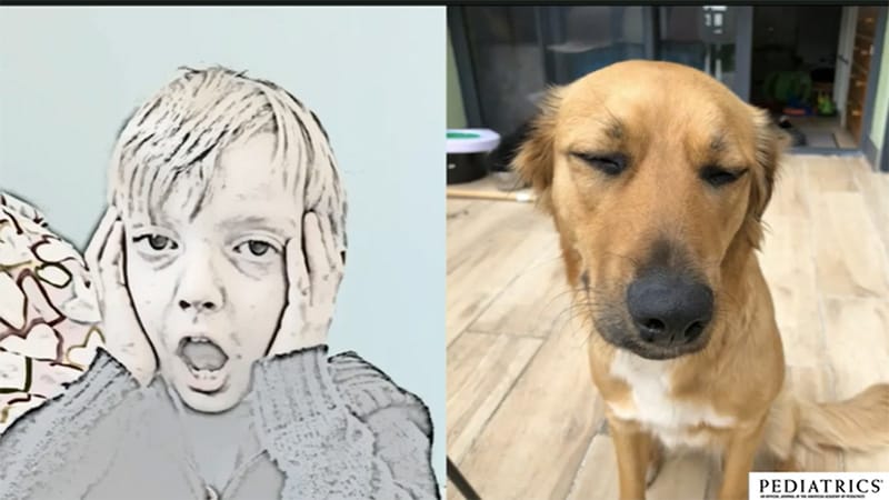 Un chien pour faciliter les soins dentaires chez les enfants autistes