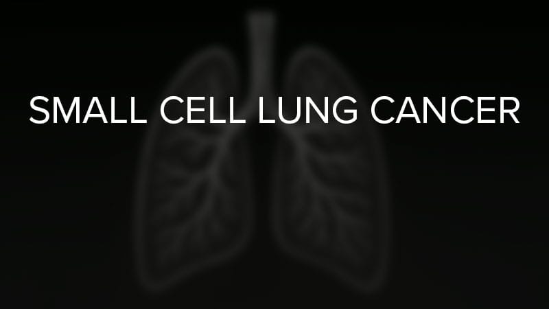 EMA OKs Two Treatments for Small Cell Lung Cancer