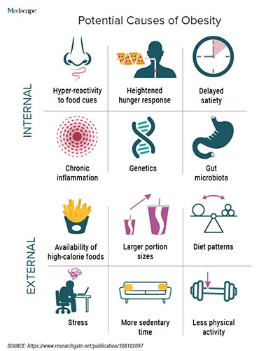 photo of Potential Causes of Obesity