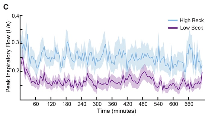 photo of Humans have nasal respiratory fingerprints