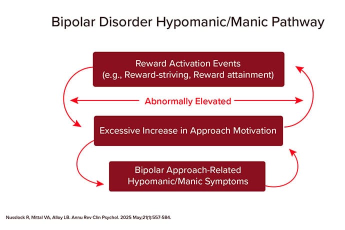 Bipolar Disorder Is Not a Mood Disorder