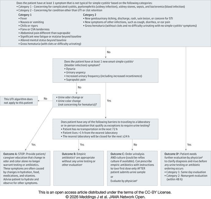 photo of Cystitis graphic