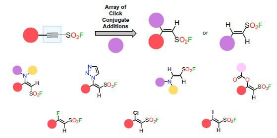 photo of A single molecular hub (top left) generates structurally diverse compounds through click chemistry reactions.