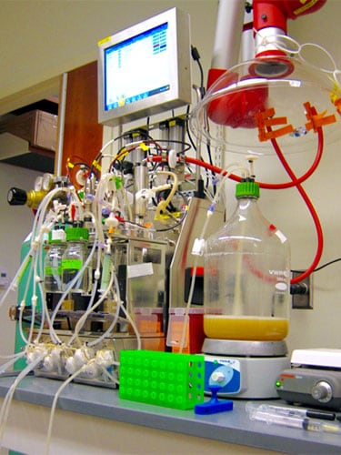 photo of artificial gut