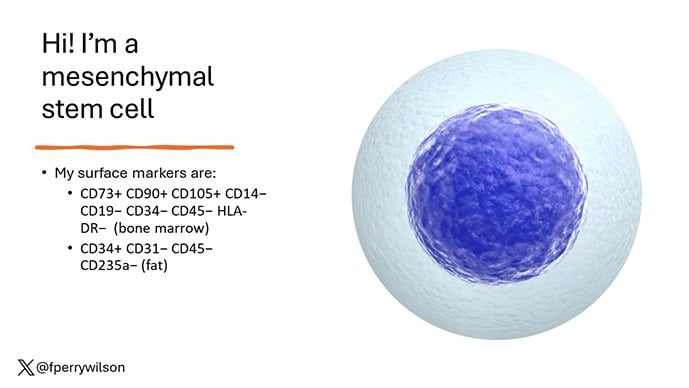 photo of Mesenchymal Cell