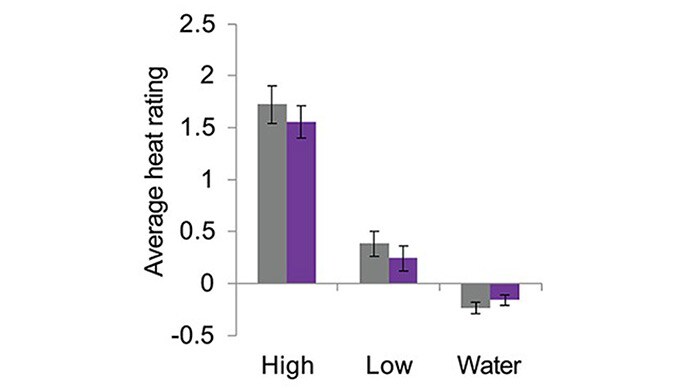 photo of Mind over flavor: Hedonic expectations and neural responses