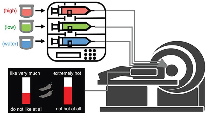 photo of Mind over flavor: Hedonic expectations and neural responses