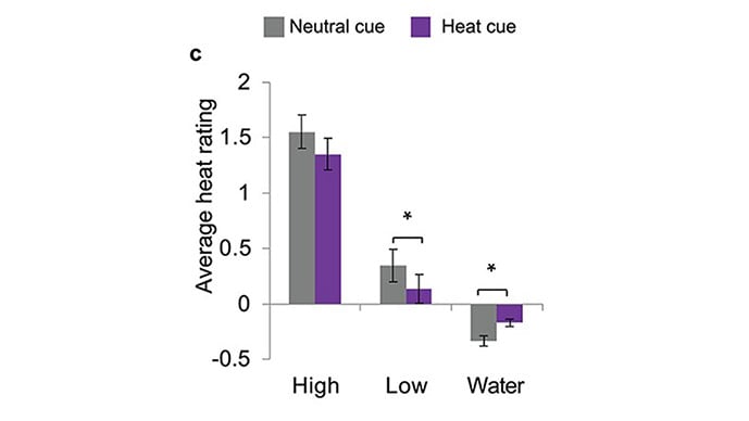 photo of Mind over flavor: Hedonic expectations and neural responses