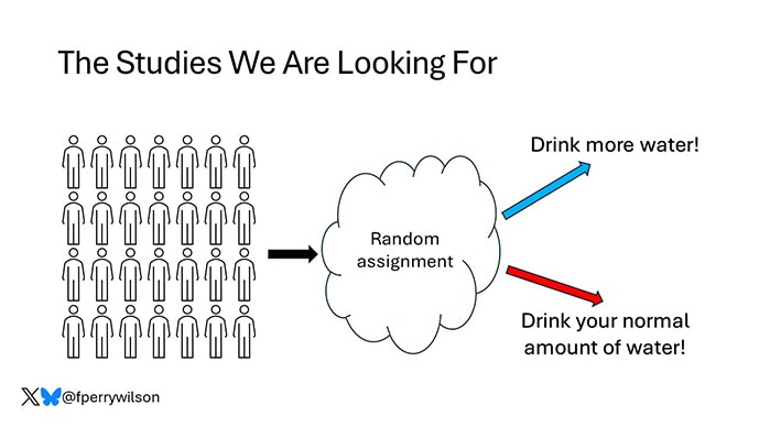 photo of Daily water intake study