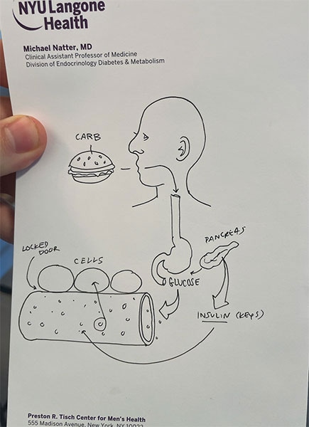 photo of Carbs illustration