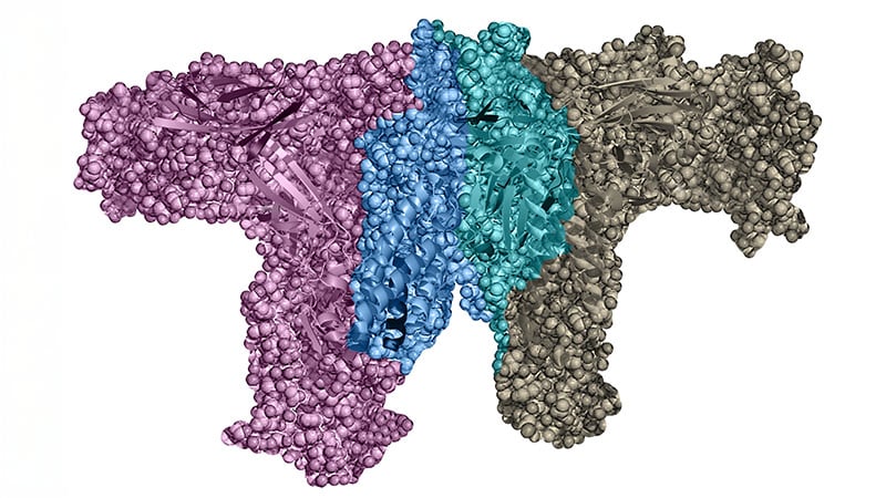 IL-23 Inhibitors Tested for Expanded Role in Psoriasis
