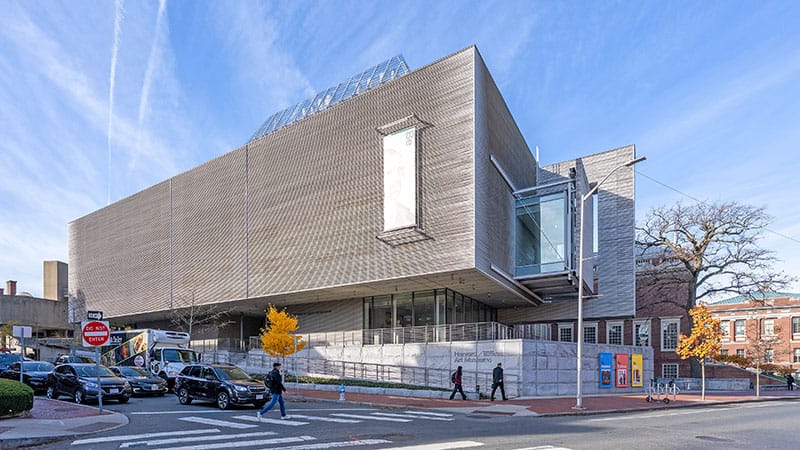 Museum Artworks Offer Lessons in Clinical Vision to Dermatology Students and Residents