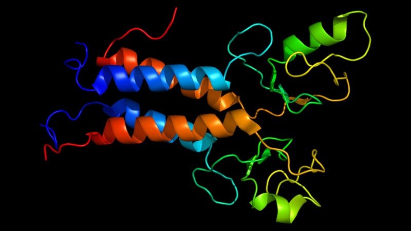 BRCA1/2 Carriers Face Higher Risk for Second Primary Cancer