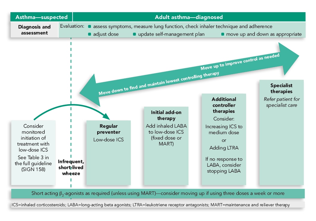 What Indicators Can Help to Predict Future Risk of Asthma Attacks?