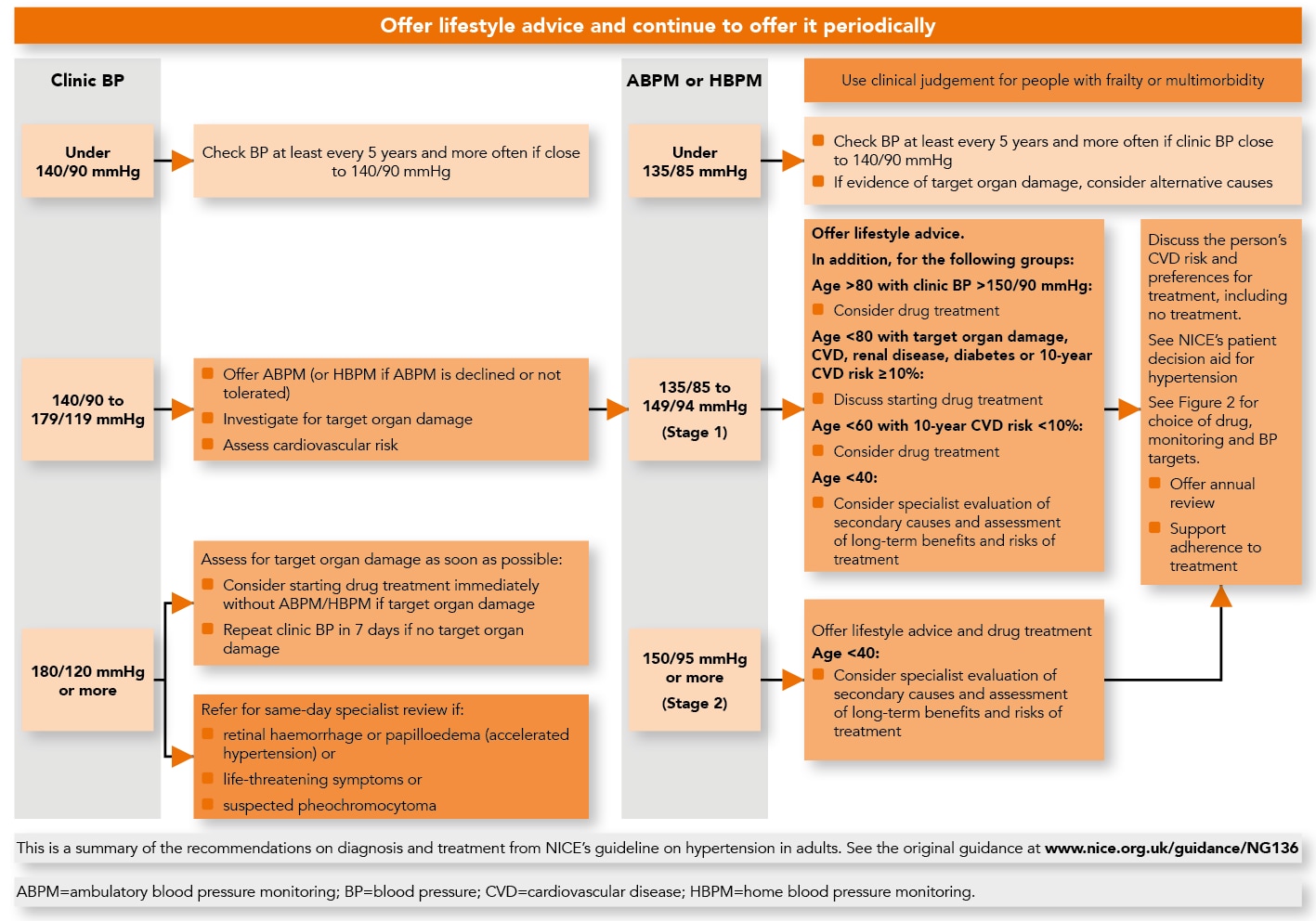 Updated Hypertension Guidelines 2024 - Grete Verile