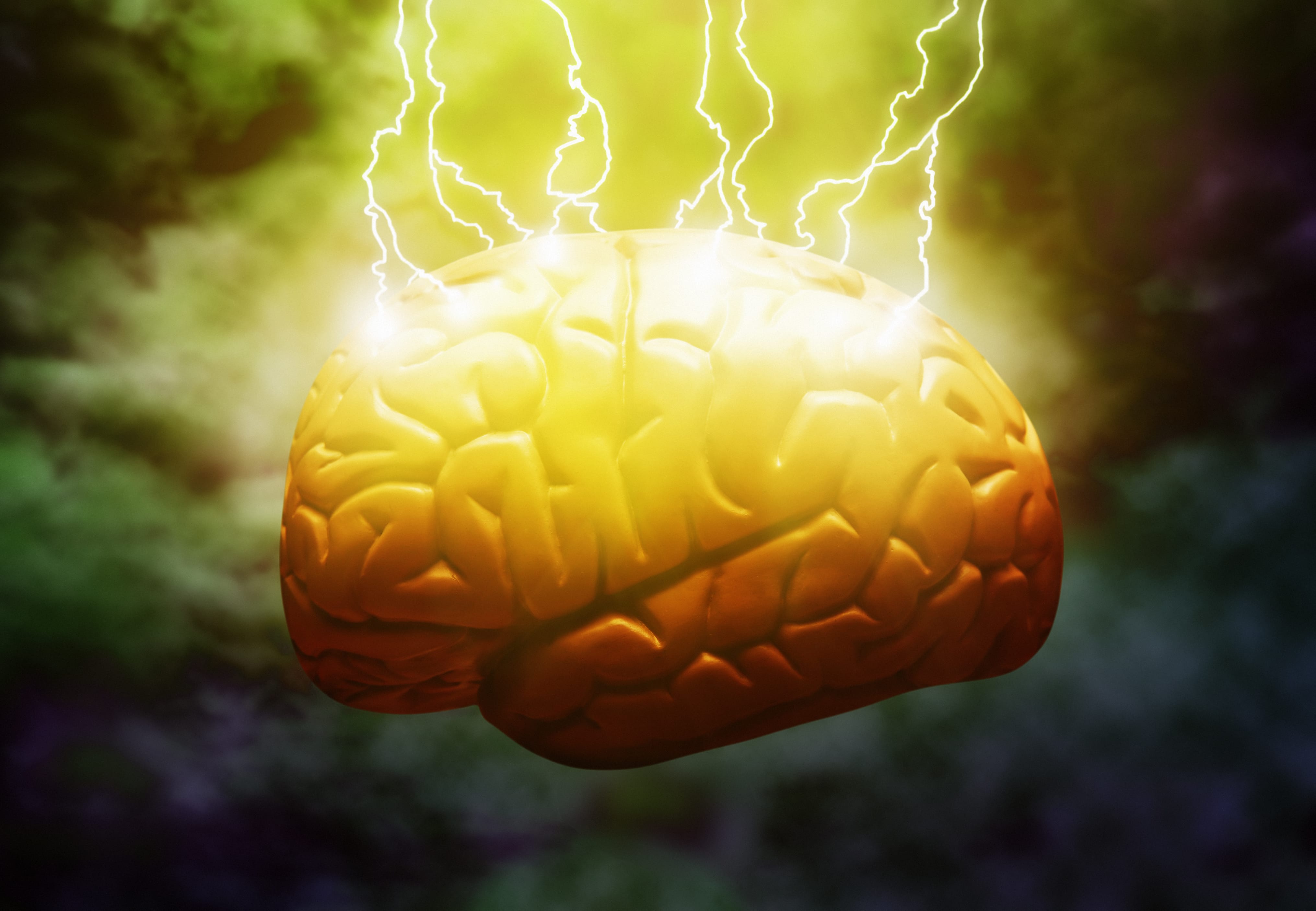 Pregabalin May Slightly Increase the Risk of Major Congenital Malformations