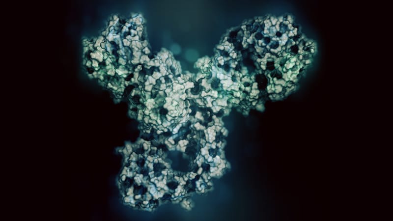 Imunoterapia em sarcomas: onde estamos e para onde vamos?