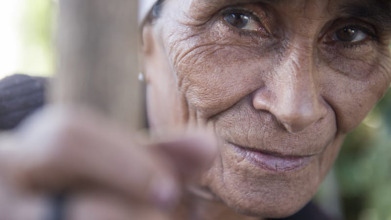 Oito milhões de variantes: o que a miscigenação brasileira ensina sobre longevidade