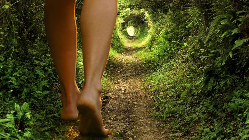 Síndrome de Alice no País das Maravilhas: veja quais medicamentos estão associados à doença