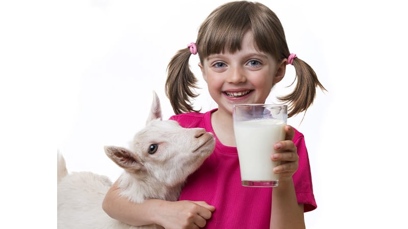 Ziegenmilch statt Kuhmilch? Studie zeigt möglichen Schutz vor Neurodermitis