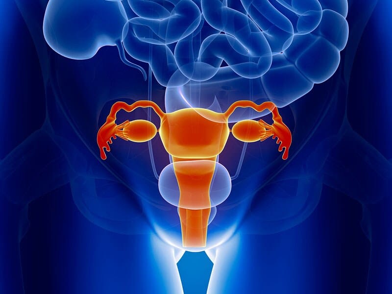 L’utero retroverso influisce sulla chances di maternità?