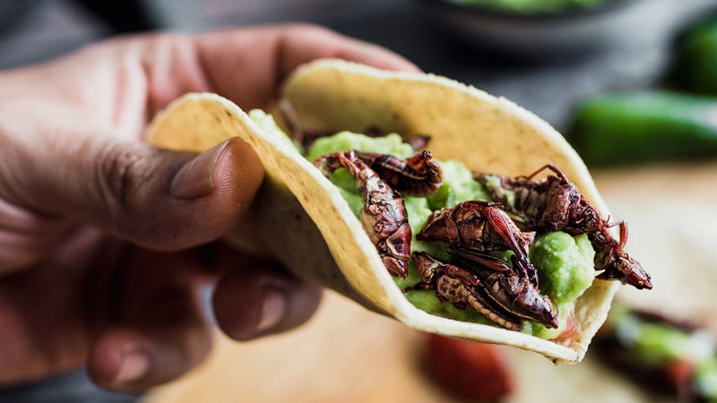 A Cryptic Case: When You Don’t Know What You Don’t Know